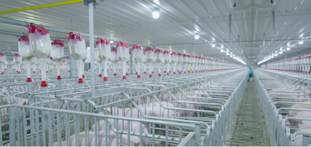 2121�Ƿ���(�й���)�����ٷ���վ