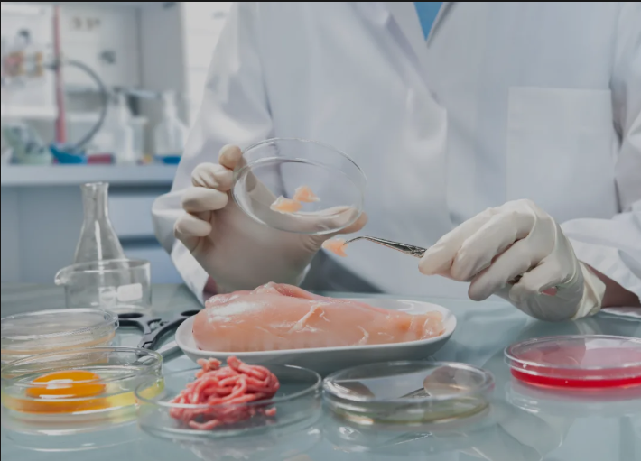 2121�Ƿ���(�й���)�����ٷ���վ