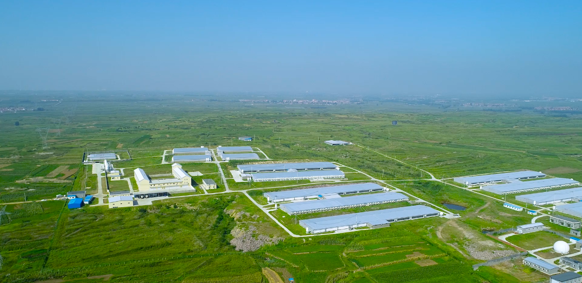 2121�Ƿ���(�й���)�����ٷ���վ