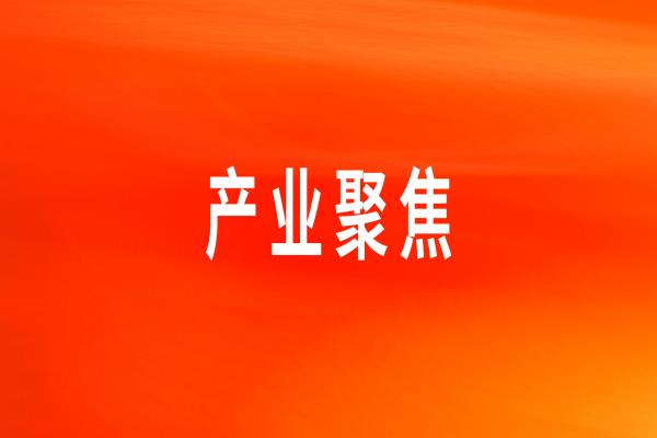 ������Ӧ��������������ר�����񡪡������ͻ�Ч�͵ġ�2121�Ƿ�������ʳ���塱