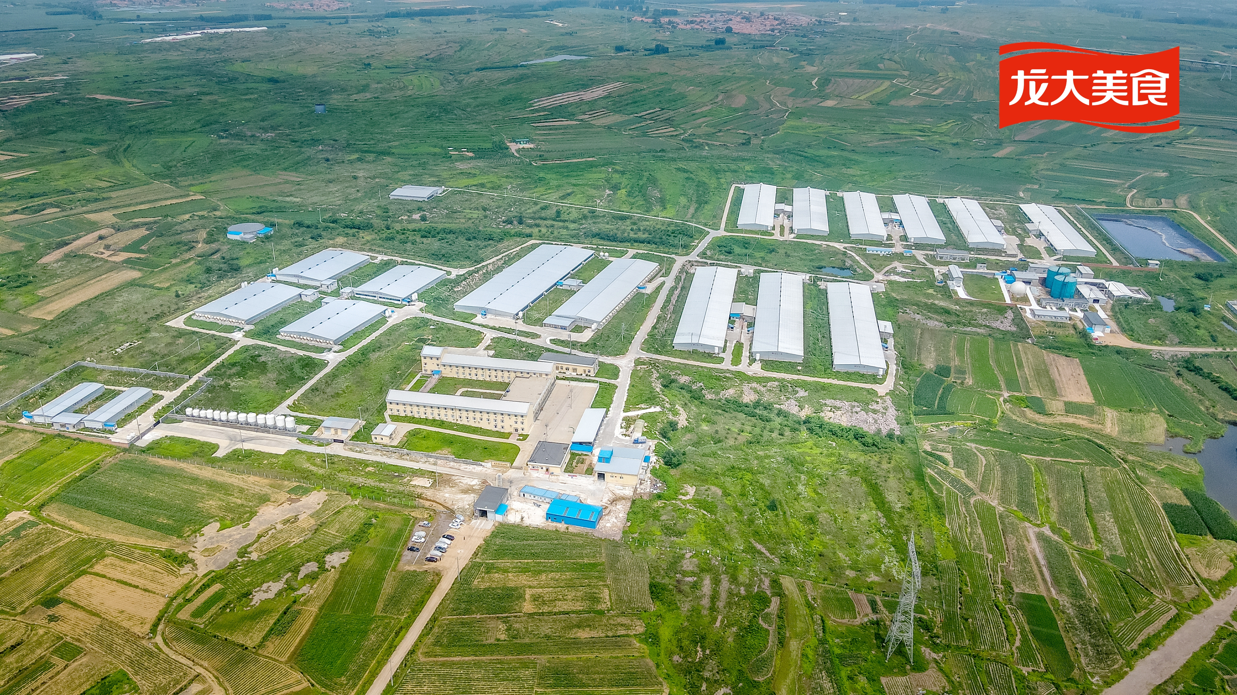 2121�Ƿ�������ʳ˳���������ɺ�������������������2121�Ƿ��������������������У�